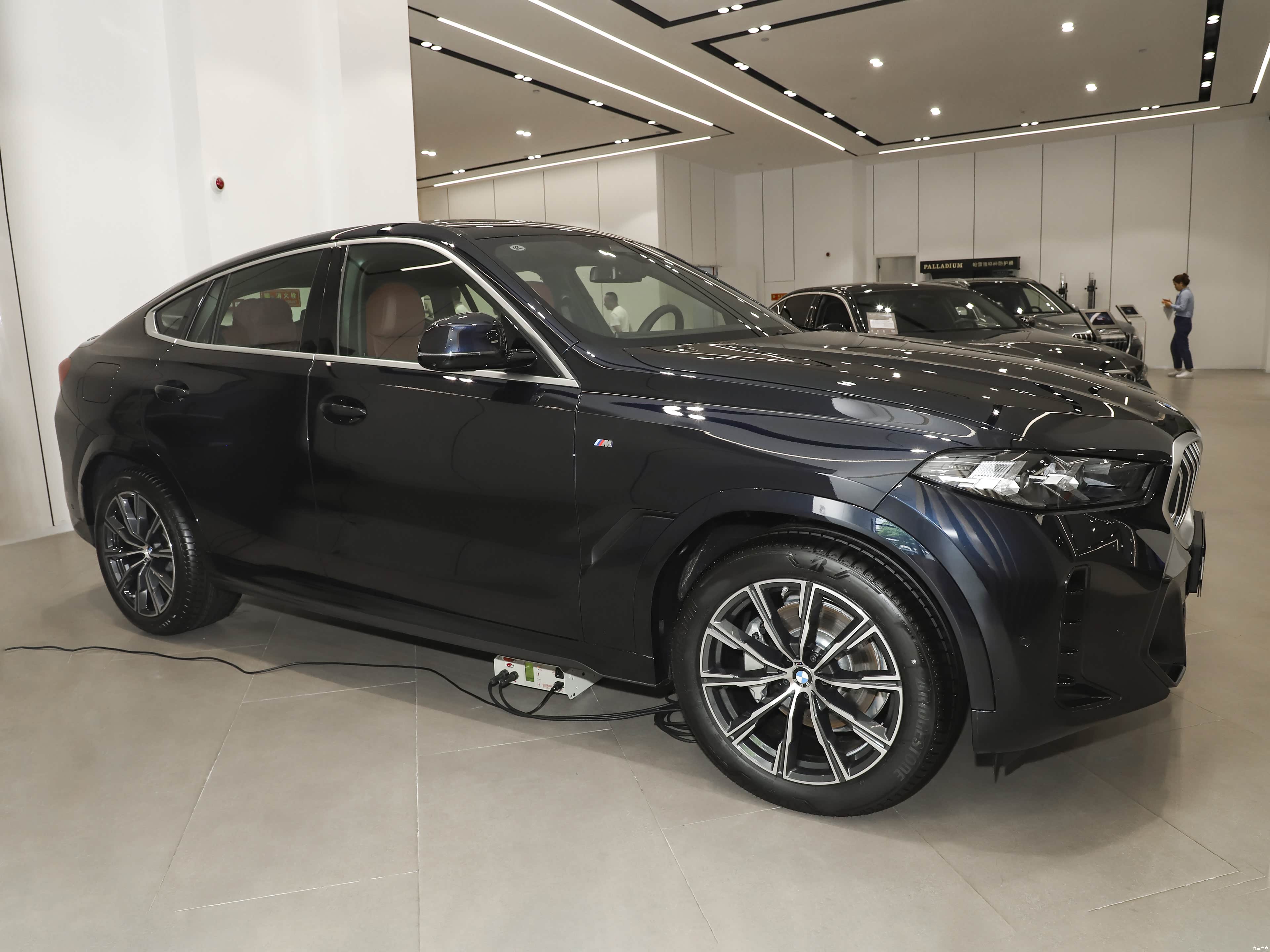 BMW X6, миниатюра 7