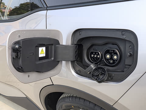 2026�� ������ JOY