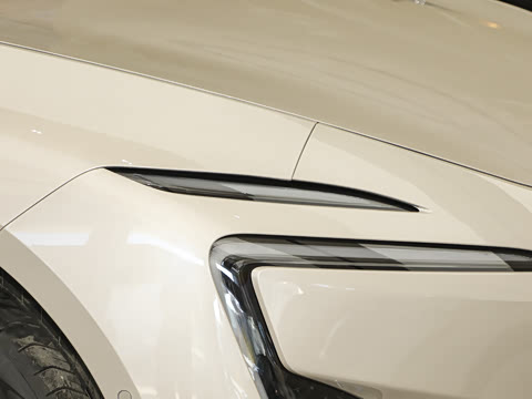 2026�� Max �����