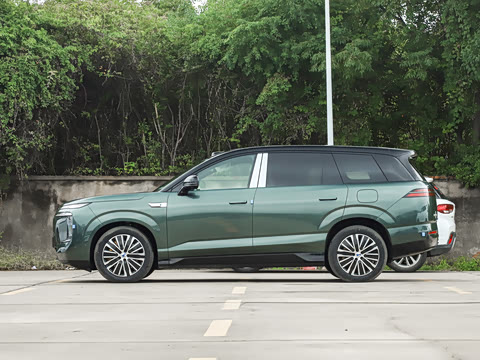 2025�� ������