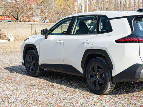 2026�� ˫�� 2.5L ����������