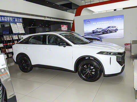 2026�� 260T ���ǰ� Pro