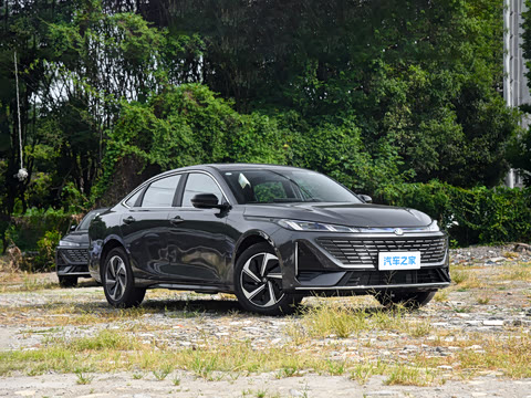 2026�� 1.5L �������� ������