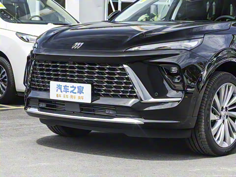 2026�� ������Plus ����Avenir��ά��