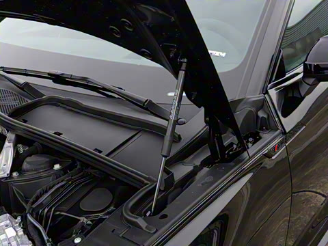 2025�� RS 5 2.9T Sportback ȼ���