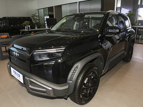 2025�� 501KM ����Pro��