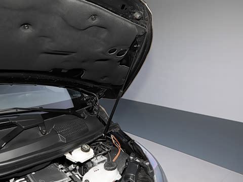 2026��  2.0T �ݺ����� Auriga