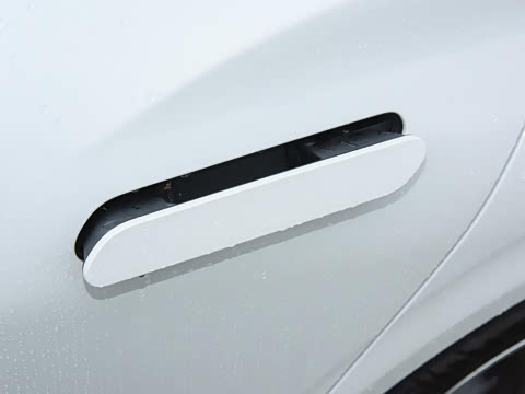 2026  2.0T  EcoBoost  