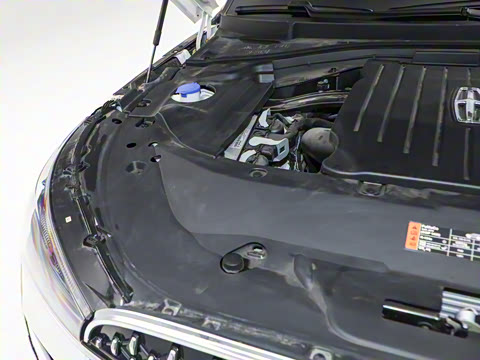 2024�� 3.0T V6 �������Ű� ����