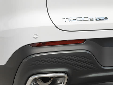 2026�� 290TGDI DCT������ 5��