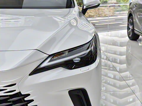 2026�� 300 ����������