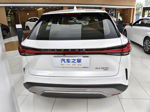 2026�� 300 ����������