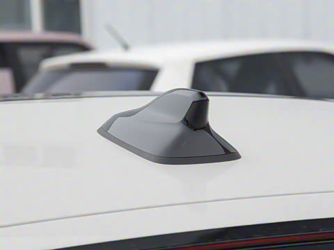 2026�� ���L 300TSI ����