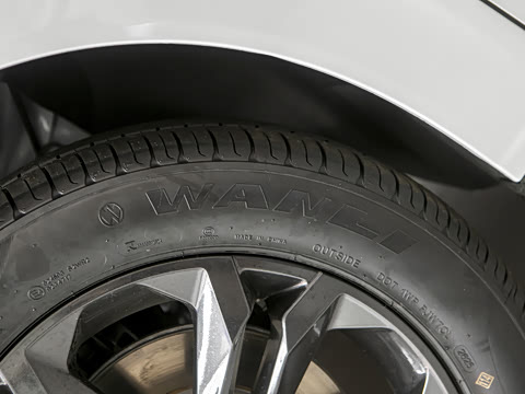 2025�� 1.5L ׿Խ��