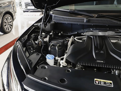 2025�� �Ŀ�  2.0T PHEV ���������� 7��