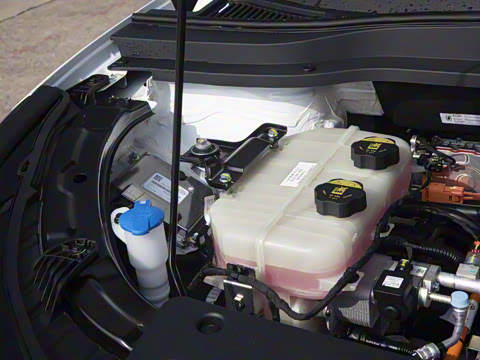 2025�� 565km ������