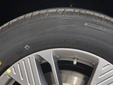 2025�� 565km ������