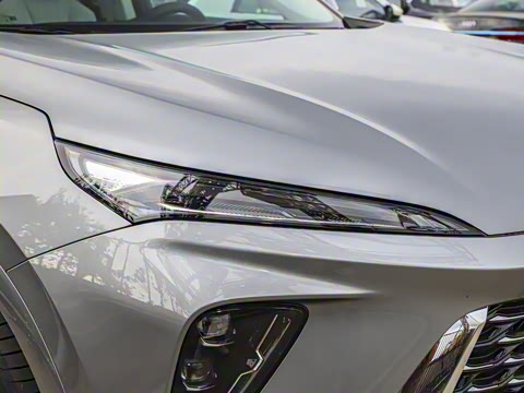 2026�� ������Plus ����Avenir��ά��