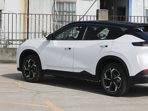 2026�� 530������
