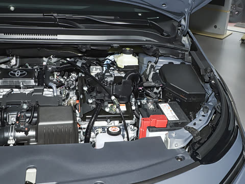 2026�� 1.8L ˫�� �ȷ��