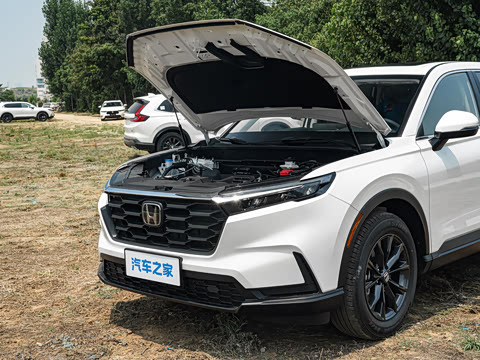 2026�� ȫ��30����ҫ�� 1.5T ��������7����
