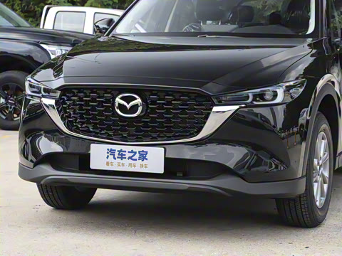 2025�� 2.0L �Զ�����������