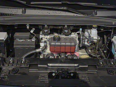 2025�� 650������