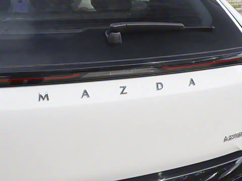 2025�� ����200 Pro