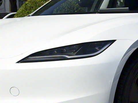 2025�� �Ŀ� ����������