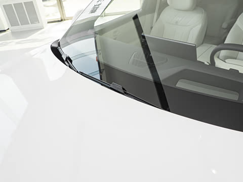 2025�� Max ������