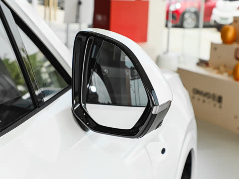 2025�� Max ������