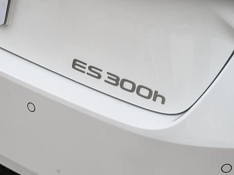 2026�� 300h