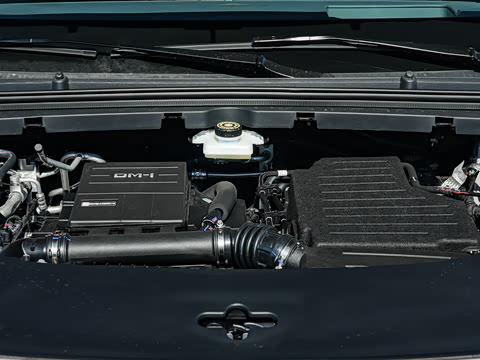2026�� DM-i 305�콢��