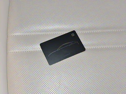 2025�� ������������Pro��