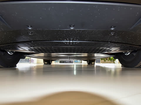 2025�� ������������Pro��