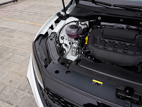 2026�� ���ڿ� 380TSI �ǿ����ڰ�