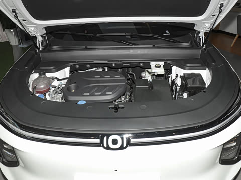 2025�� 145��ҫ��