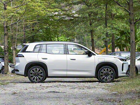 2026�� 650 ���װ�