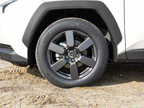 2026�� 2.0L ����������