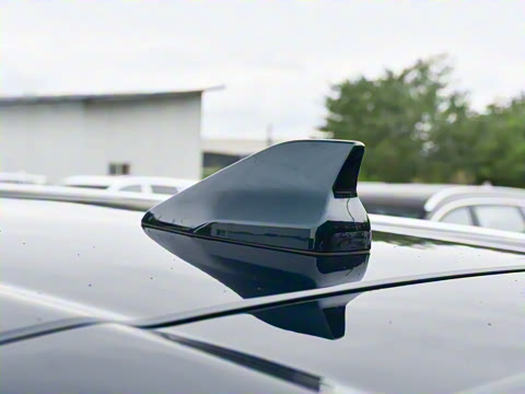 2025�� 290TGDI DCT���ư�