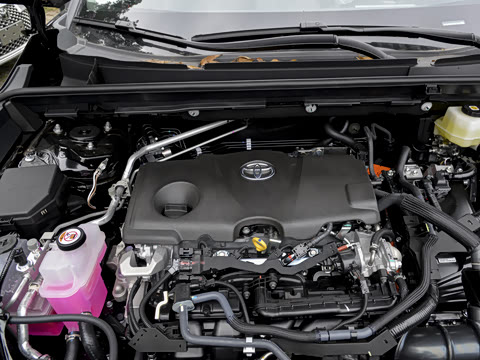 2026�� ˫�� 2.5L ����������