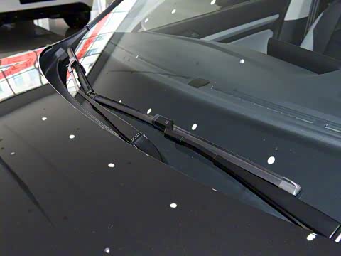 2025�� �Ŀ� 300TSI DSG���а�