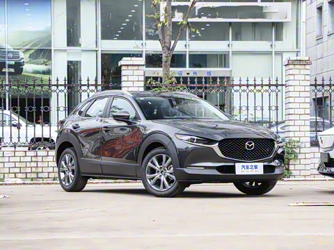 2025�� 2.0L �Զ�������