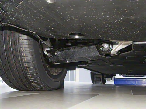 2025�� Max ���������