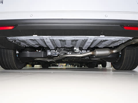 2026�� 1220����Max��