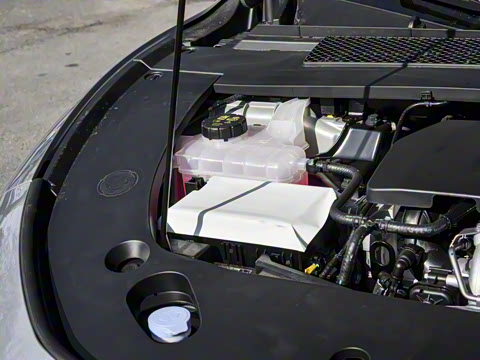 2026�� ���� 1550 Max �콢��