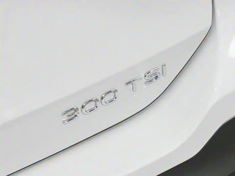 2026�� ̽��L 300TSI ������Ӣ