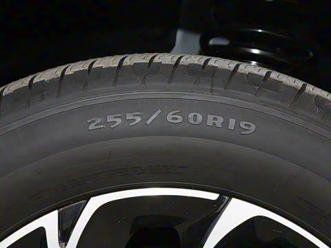 2025�� �Ŀ� 2.0T ����������