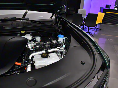 2025�� �����콢�� 5��