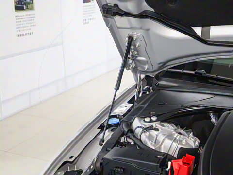 2025�� 2.0T P250 ��������������